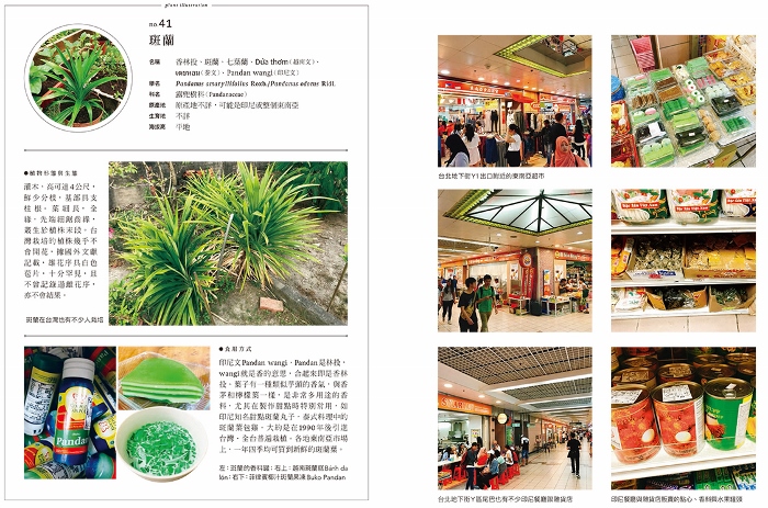 《舌尖上的東協：東南亞美食與蔬果植物誌》內頁